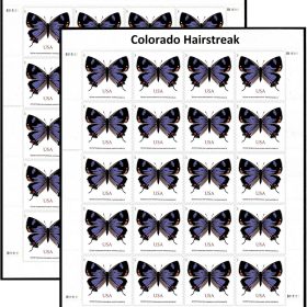 Colorado Hairstreak Butterfly Forever First Class Postage Stamps
