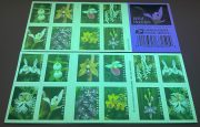 Wild Orchids Forever First Class Postage Stamps - Image 2