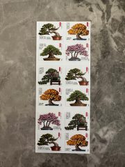 USPS Bonsai Tree Forever First Class Postage Stamps - Image 3
