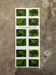 USPS Frogs Forever First Class Postage Stamps - Image 3