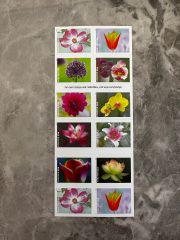 USPS Garden Beauty Forever First Class Postage Stamps - Image 3