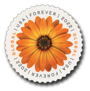 Global African Daisy International First Class Forever US Postage Stamps - Image 2